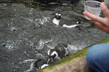 富士花鳥園に投稿された画像（2022/9/29）