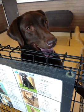 世界の名犬牧場に投稿された画像（2022/9/29）