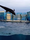 新江ノ島水族館に投稿された画像（2022/9/29）