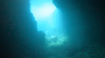 武藤潜水に投稿された画像（2022/9/29）