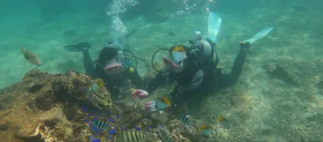 武藤潜水に投稿された画像（2022/9/29）