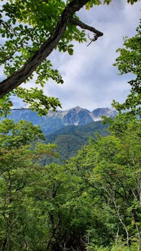 白馬岩岳マウンテンリゾートに投稿された画像（2022/9/29）