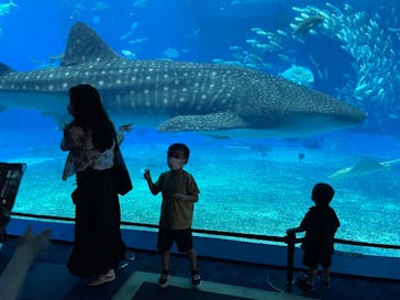 沖縄美ら海水族館に投稿された画像（2022/9/30）