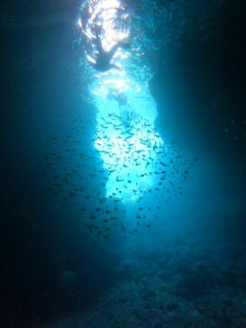 沖縄マリンサービス碧に投稿された画像（2022/9/30）