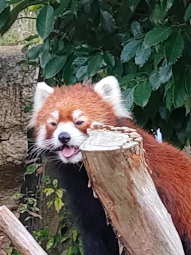 ひらかたパークに投稿された画像（2022/9/30）