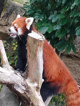 ひらかたパークに投稿された画像（2022/9/30）