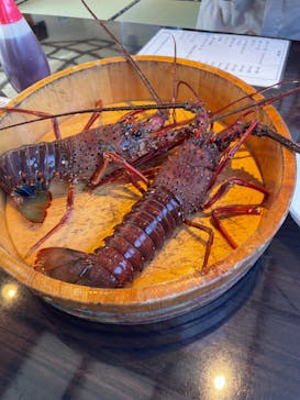 鳥羽　海鮮料理　屋形船　おきたに投稿された画像（2022/9/30）