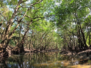 西表島 ADVENTURE PiPi（アドベンチャーピピ）に投稿された画像（2022/9/30）