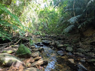 西表島 ADVENTURE PiPi（アドベンチャーピピ）に投稿された画像（2022/9/30）