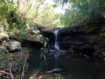 西表島 ADVENTURE PiPi（アドベンチャーピピ）に投稿された画像（2022/9/30）