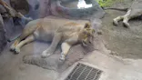天王寺動物園に投稿された画像（2022/10/1）