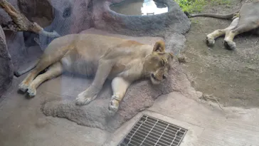 天王寺動物園に投稿された画像（2022/10/1）