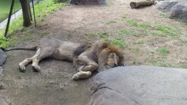 天王寺動物園に投稿された画像（2022/10/1）