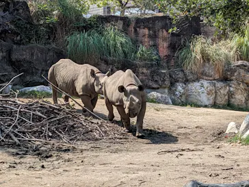 天王寺動物園に投稿された画像（2022/10/1）