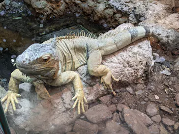 天王寺動物園に投稿された画像（2022/10/1）