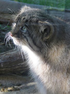 那須どうぶつ王国に投稿された画像（2022/10/1）