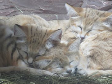 那須どうぶつ王国に投稿された画像（2022/10/1）