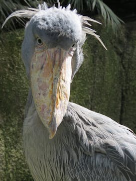 那須どうぶつ王国に投稿された画像（2022/10/1）