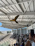 仙台うみの杜水族館に投稿された画像（2022/10/1）