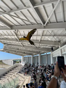 仙台うみの杜水族館に投稿された画像（2022/10/1）