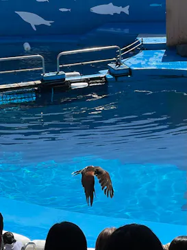 仙台うみの杜水族館に投稿された画像（2022/10/1）