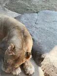 天王寺動物園に投稿された画像（2022/10/1）