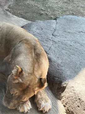 天王寺動物園に投稿された画像（2022/10/1）