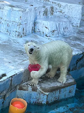 天王寺動物園に投稿された画像（2022/10/1）