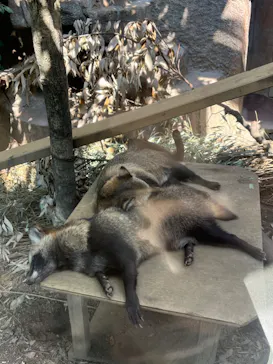 天王寺動物園に投稿された画像（2022/10/1）