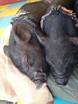 ワールド牧場に投稿された画像（2022/10/1）