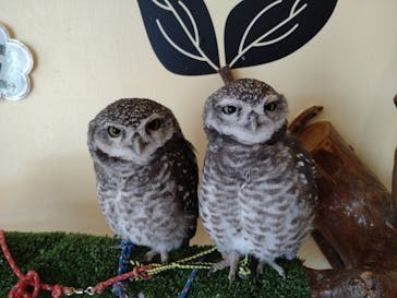 ワールド牧場に投稿された画像（2022/10/1）