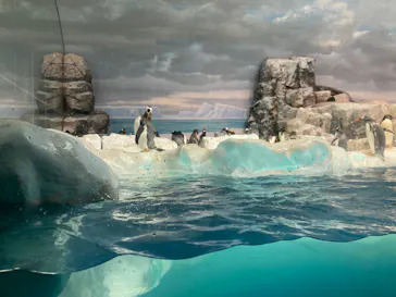 名古屋港水族館に投稿された画像（2022/10/1）