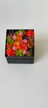 ずこうしつ〜sugamo〜に投稿された画像（2022/10/1）