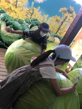 鈴鹿サーキットに投稿された画像（2022/10/1）