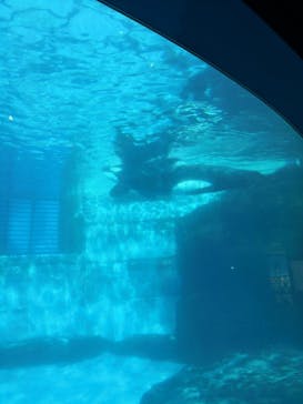 名古屋港水族館に投稿された画像（2022/10/1）