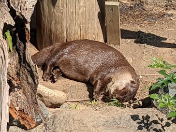 アロハガーデンたてやまに投稿された画像（2022/10/1）