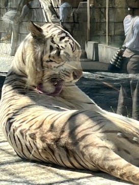 東武動物公園に投稿された画像（2022/10/1）