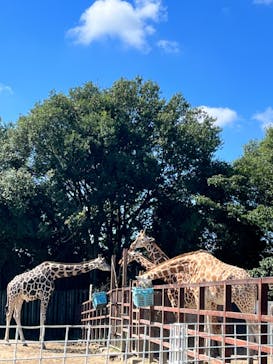 東武動物公園に投稿された画像（2022/10/1）