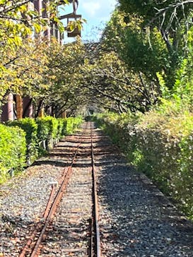 東武動物公園に投稿された画像（2022/10/1）