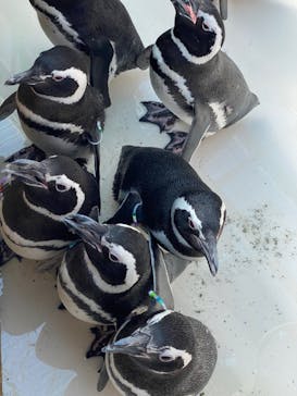 株式会社Gに投稿された画像（2022/10/1）