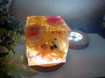 ずこうしつ〜sugamo〜に投稿された画像（2022/10/1）