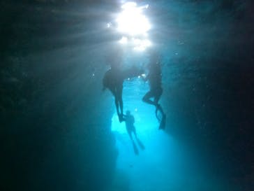 沖縄マリンサービス碧に投稿された画像（2022/10/1）