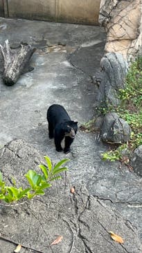 よこはま動物園ズーラシアに投稿された画像（2022/10/1）