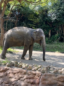 よこはま動物園ズーラシアに投稿された画像（2022/10/1）