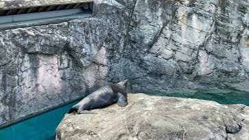 よこはま動物園ズーラシアに投稿された画像（2022/10/1）