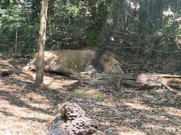 よこはま動物園ズーラシアに投稿された画像（2022/10/1）