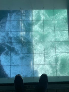 徳島県立 渦の道に投稿された画像（2022/10/1）