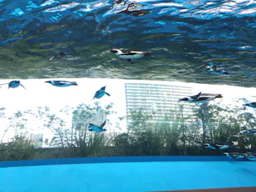 サンシャイン水族館に投稿された画像（2022/10/1）