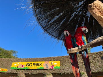 長崎バイオパークに投稿された画像（2022/10/1）