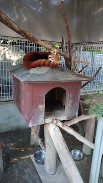 熱川バナナワニ園に投稿された画像（2022/10/1）